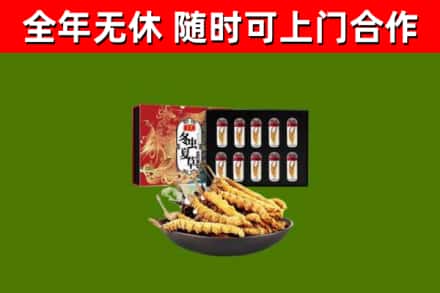 天门市回收冬虫夏草价格